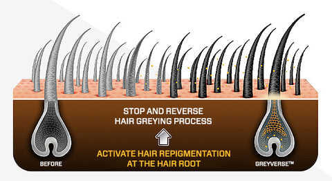 HairRevive™ | סרום שיער נגד אפור