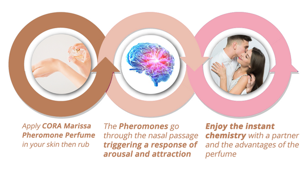 ScentSeduct™ | בושם פרומון לנשים