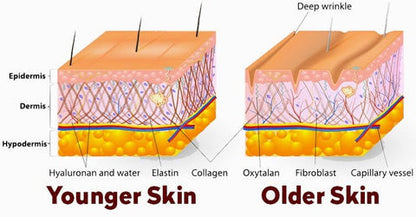 WonderSkin™ | קרם קולגן הרמה ומיצוק -  חילזון קוריאני